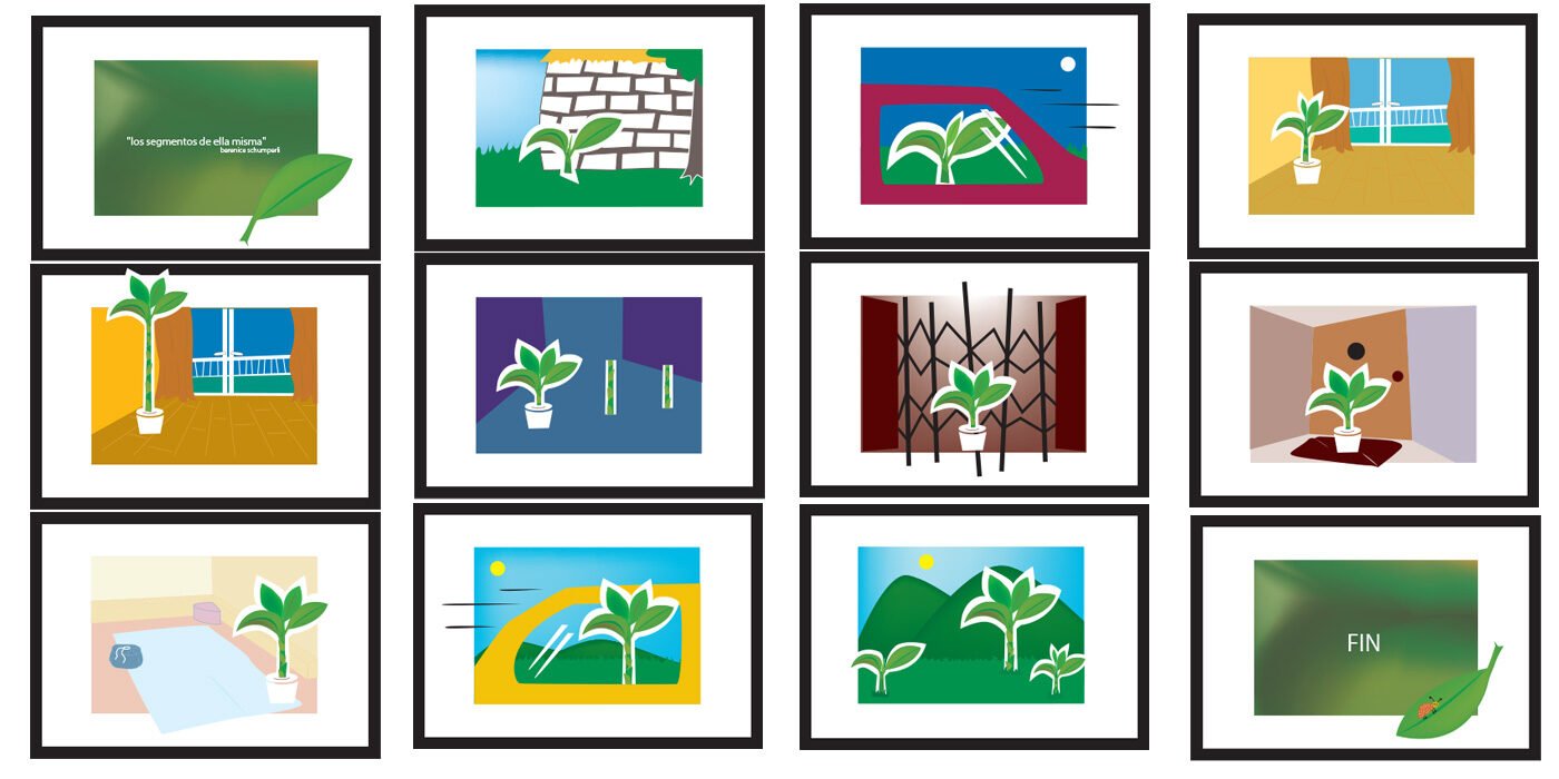 Ilustración - Historia De Una Planta