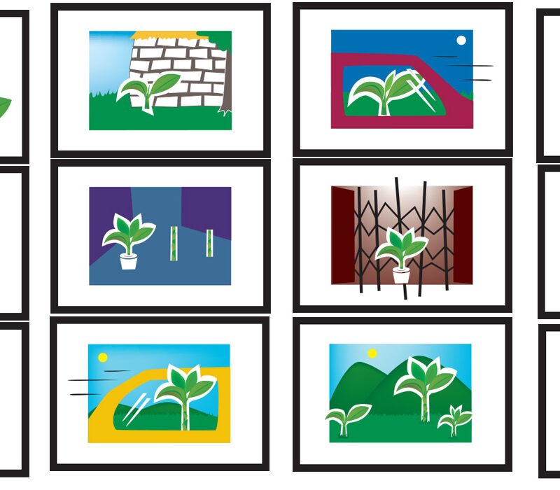 Ilustración - Historia De Una Planta