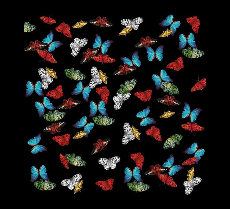 Perla Mía - Ilustración Trama Mariposas